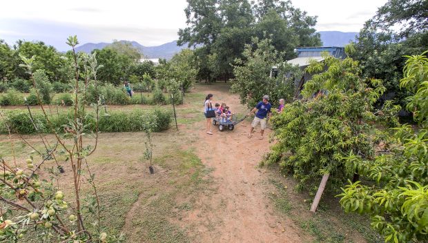 Howard's Orchard